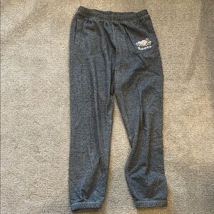 Roots Canada Gray Sweatpants